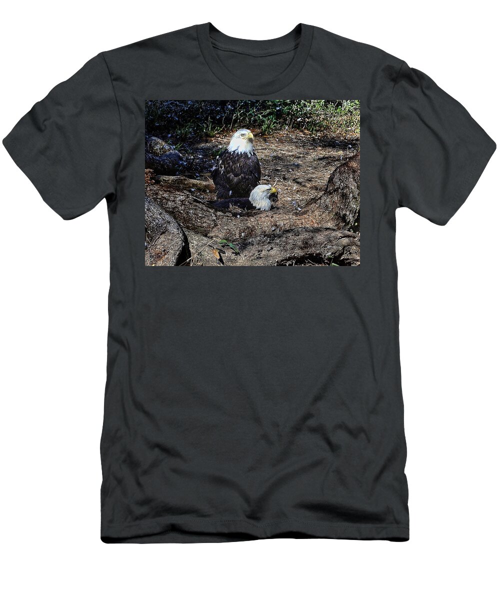 Bald Eagle T-Shirt featuring the photograph Bald Eagle by Joshua Fredericks