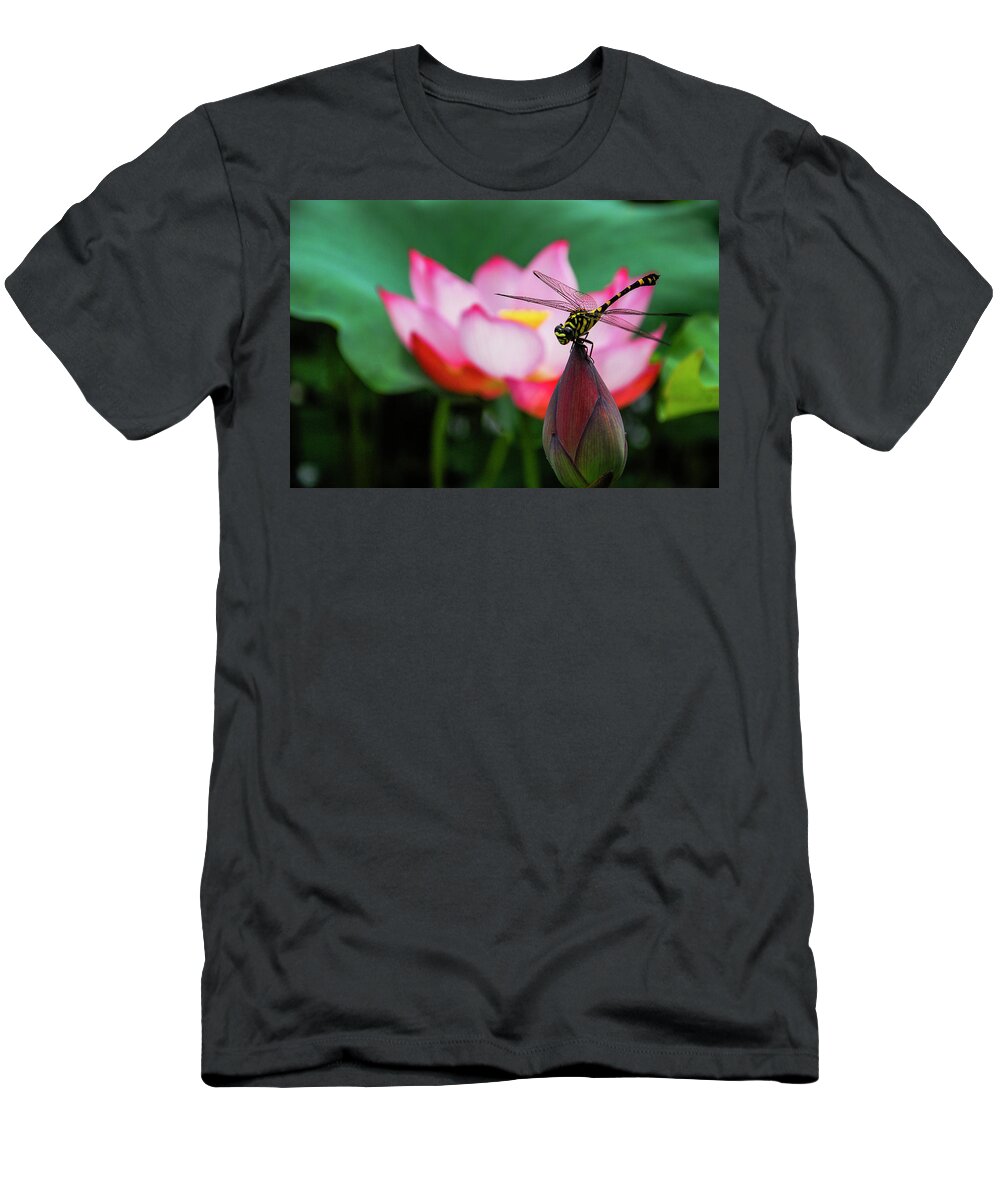 Flower T-Shirt featuring the photograph A dragonfly on lotus flower #1 by Carl Ning