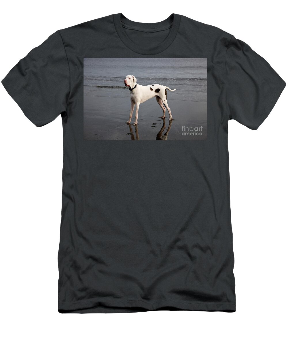 Animal T-Shirt featuring the photograph Albino Great Dane #1 by Inga Spence
