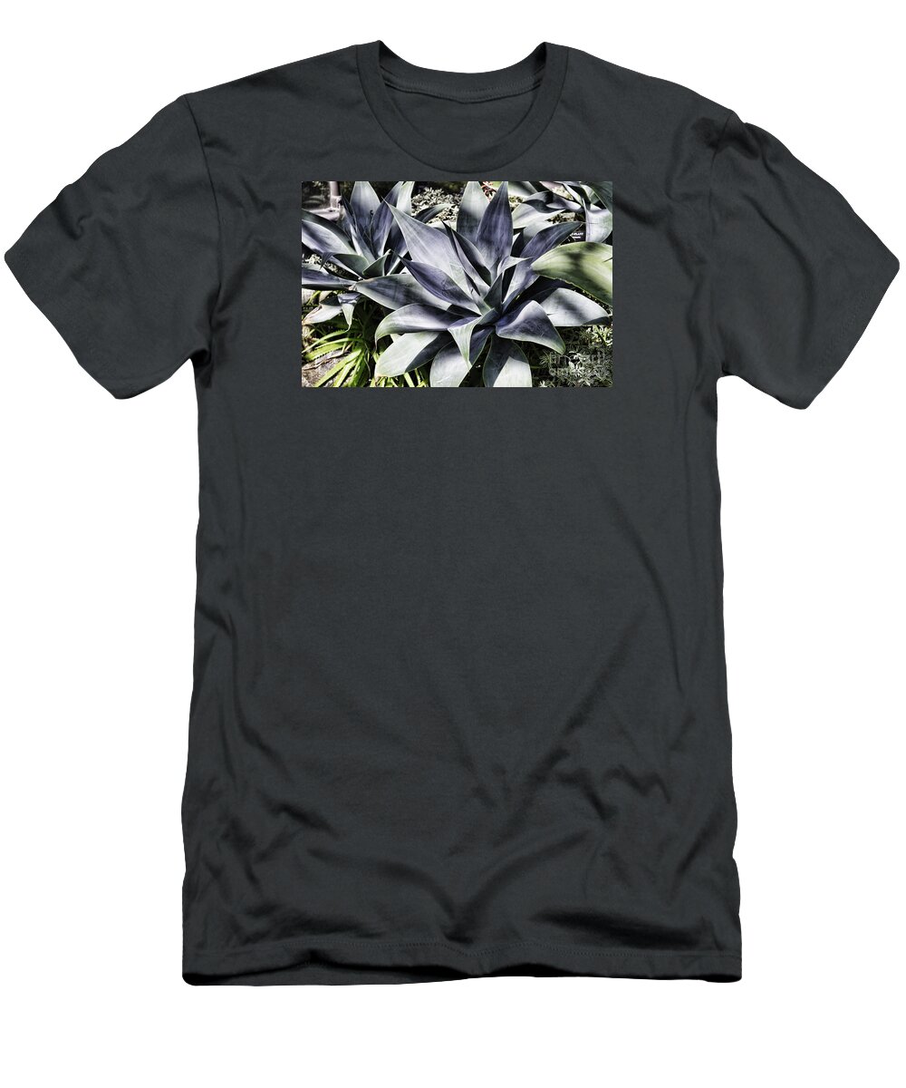 Plant T-Shirt featuring the photograph Aloe #1 by Judy Wolinsky