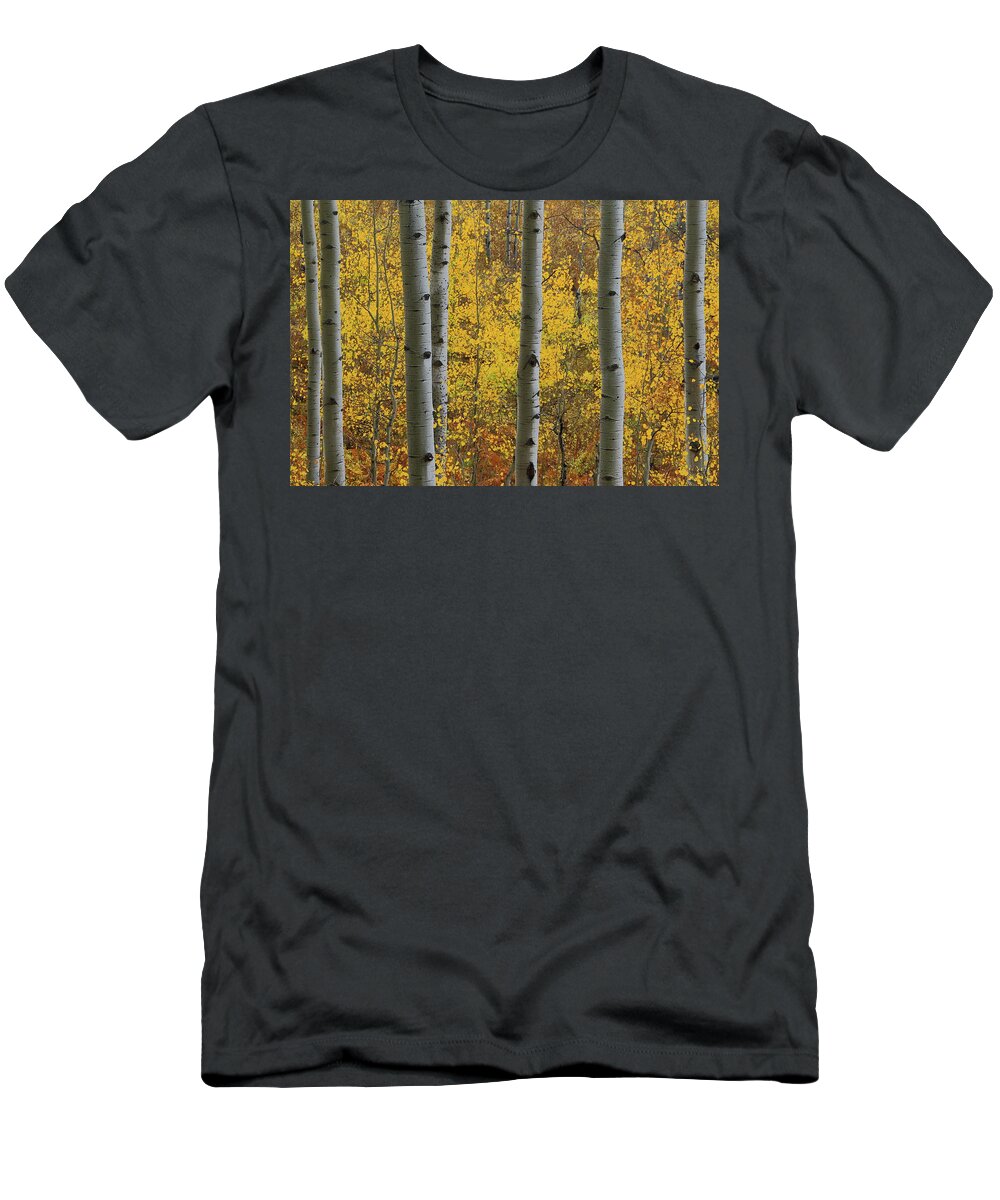 Autumn T-Shirt featuring the photograph Aspen in autumn at McClure Pass #1 by Jetson Nguyen