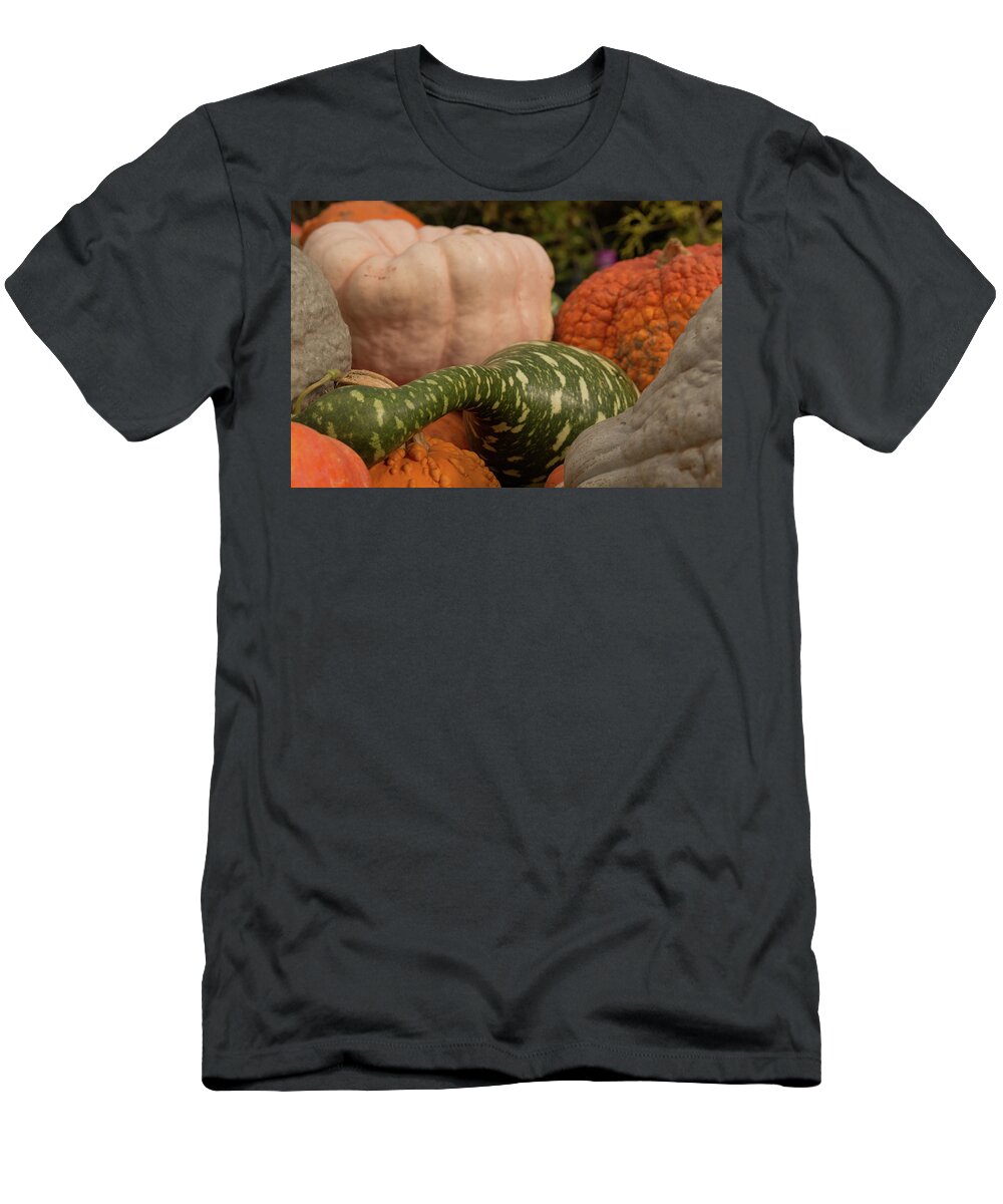 American T-Shirt featuring the photograph Autumn Harvest by Kyle Lee