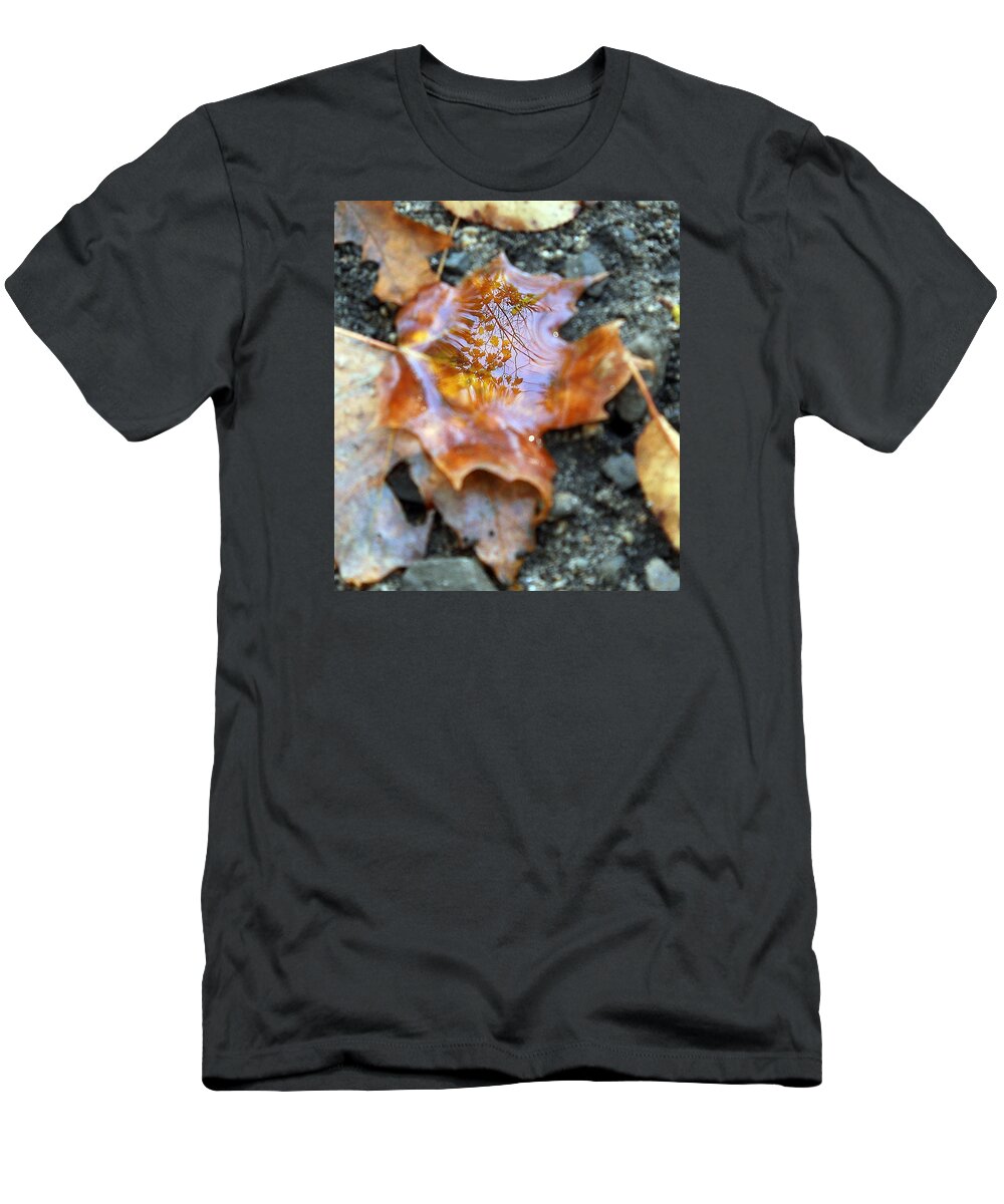 Leaves T-Shirt featuring the photograph Autumn Leaves #1 by Wolfgang Schweizer