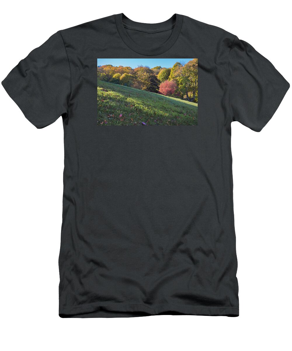 Vermont Autumn T-Shirt featuring the photograph Autumn Palette #1 by Tom Singleton