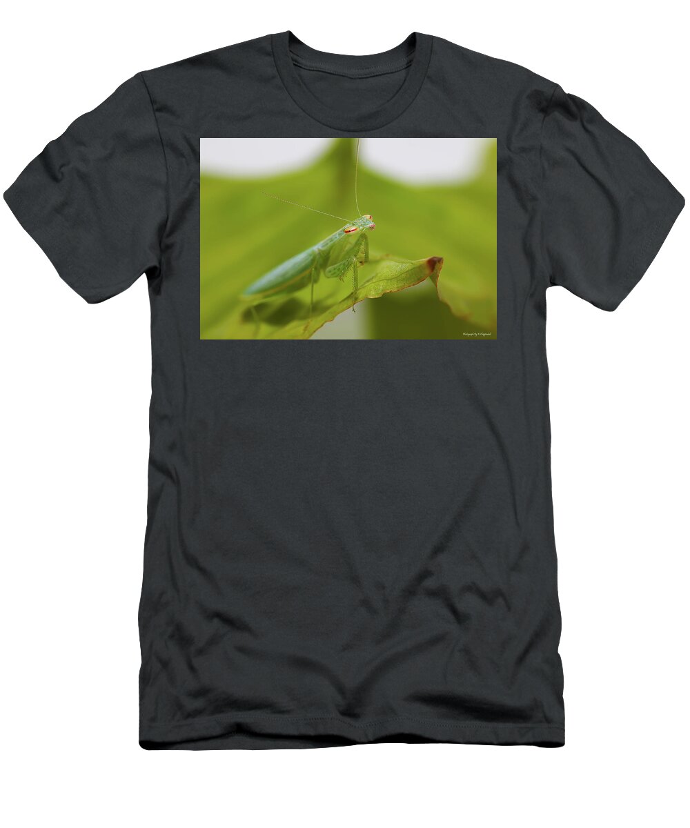 Baby Pray Mantes T-Shirt featuring the photograph Baby Praymantes 6661 by Kevin Chippindall