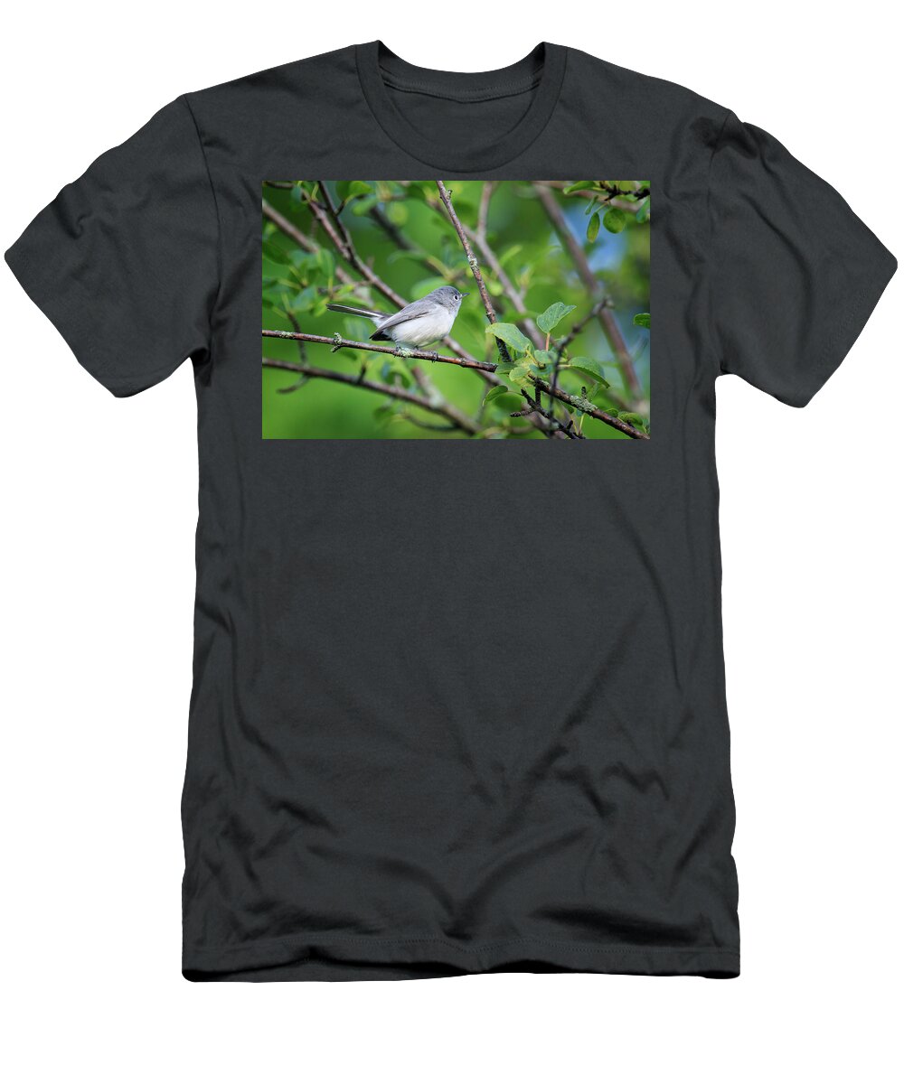 Gary Hall T-Shirt featuring the photograph Blue-gray Gnatcatcher #1 by Gary Hall