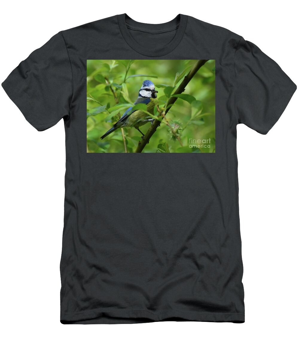 Blue Tit T-Shirt featuring the photograph Blue Tit on a branch #1 by Paul Cummings