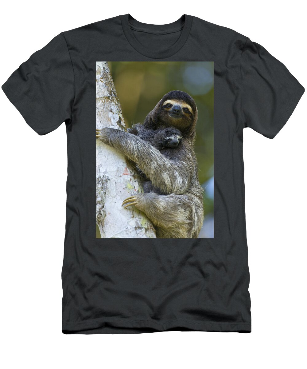 Mp T-Shirt featuring the photograph Brown-throated Three-toed Sloth #1 by Suzi Eszterhas