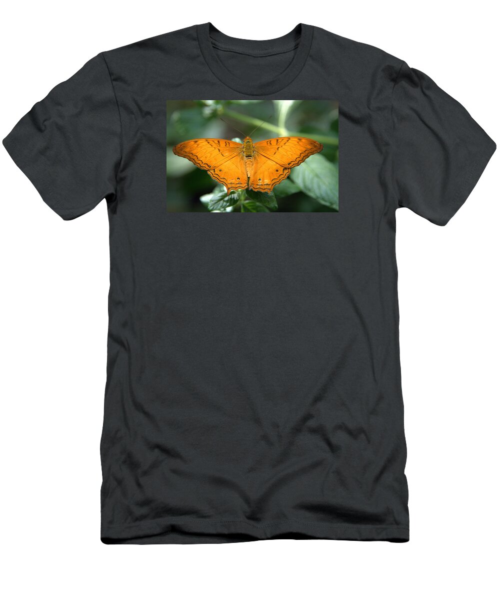 Butterfly T-Shirt featuring the photograph Butterfly by Jerry Cahill