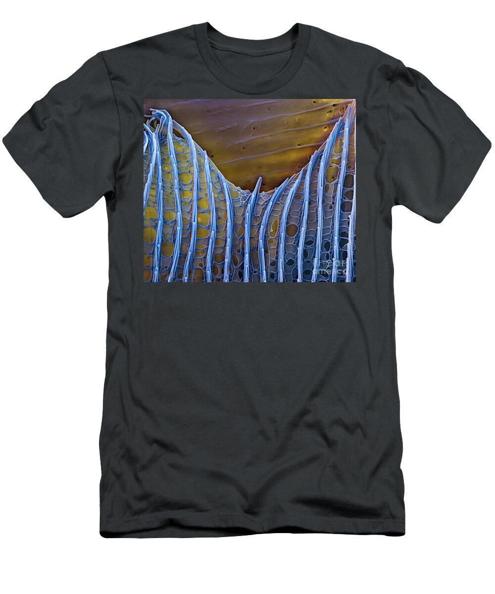 Science T-Shirt featuring the photograph Butterfly Wing Scale Sem by Eye of Science