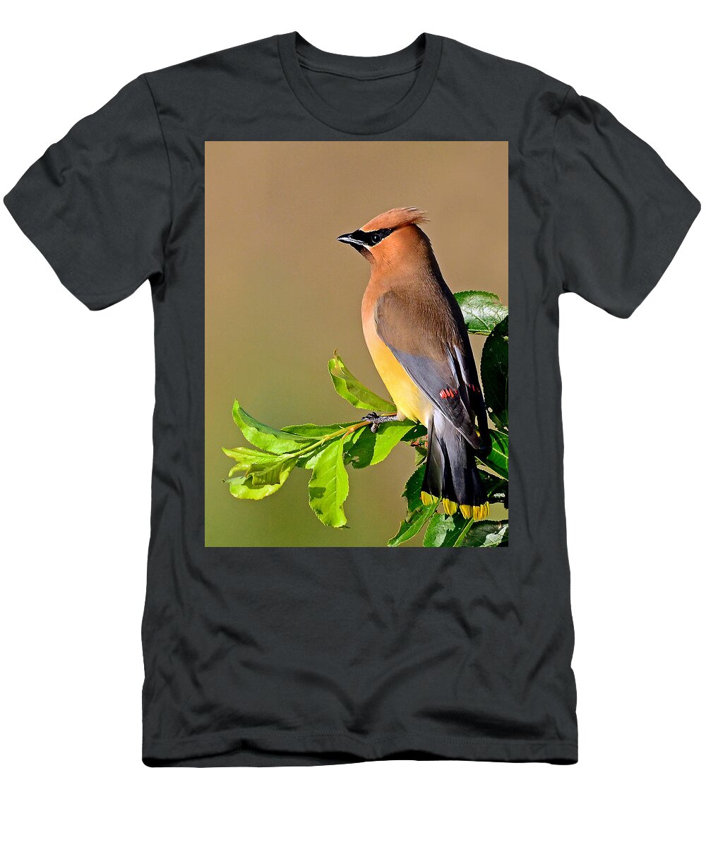 Bird T-Shirt featuring the photograph Cedar Waxwing #1 by Rodney Campbell