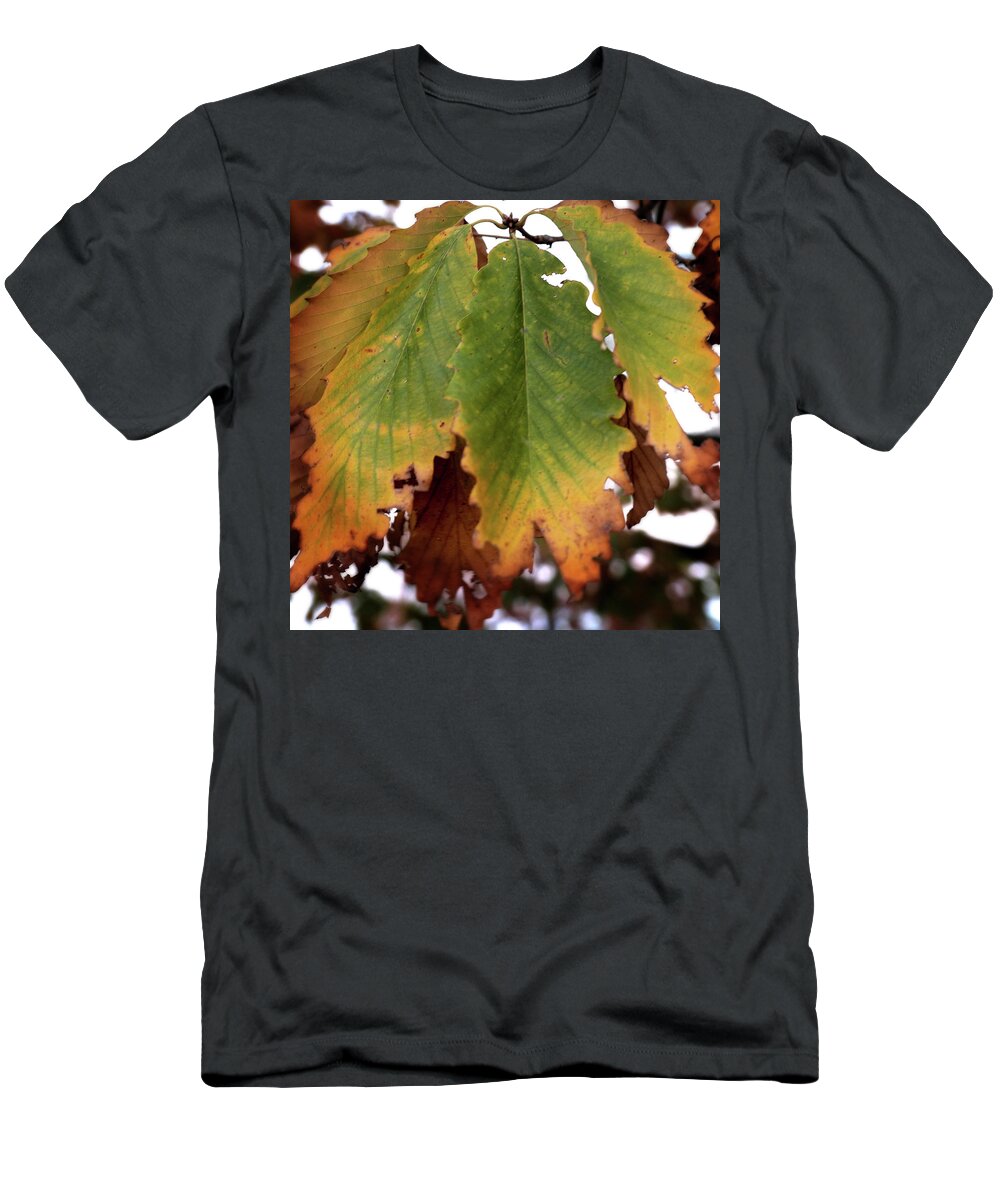 Fall T-Shirt featuring the photograph Changing Leaves #1 by George Taylor