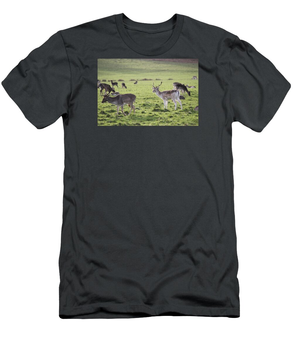 Deer T-Shirt featuring the photograph Deer in Richmond Park #1 by Marcus Coatsworth