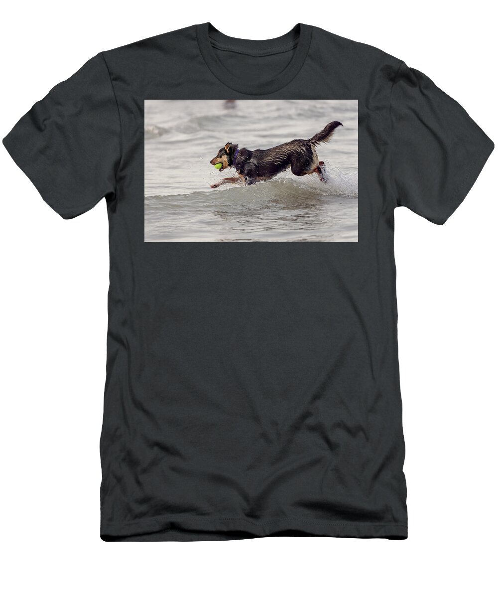 Animal T-Shirt featuring the photograph Dog with tennis ball #1 by Peter Lakomy
