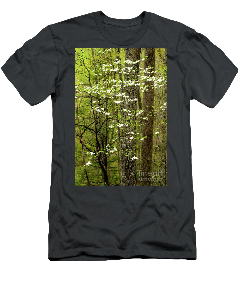 Spring T-Shirt featuring the photograph Dogwood Blooming in Forest #1 by Thomas R Fletcher