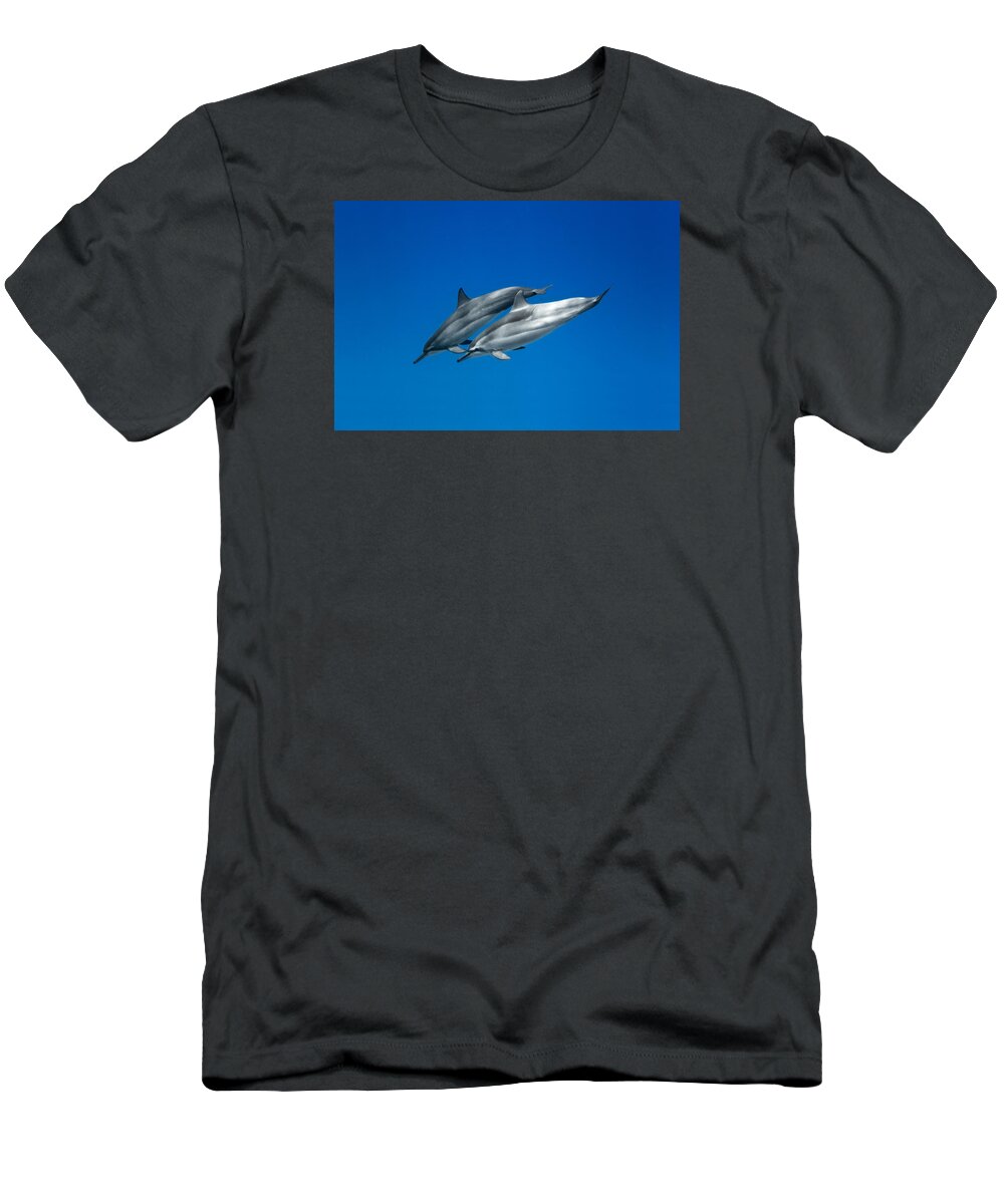  Serenity T-Shirt featuring the photograph Dolphin Pair #1 by Sean Davey