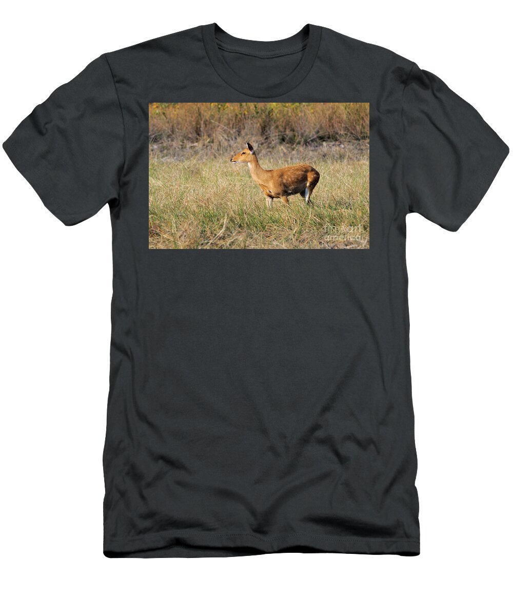 Animal T-Shirt featuring the photograph Elds Deer, Cambodia #1 by Fletcher & Baylis