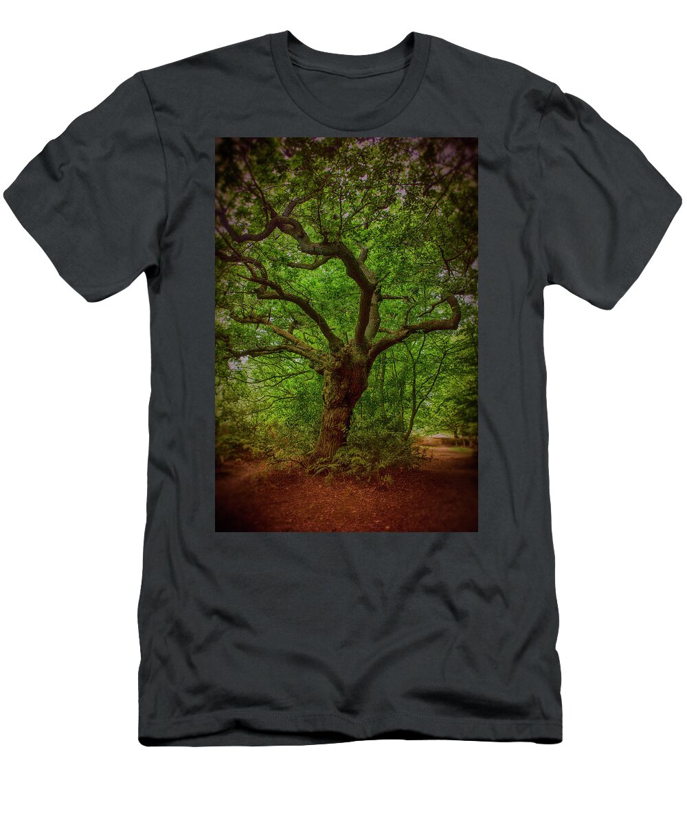 Epping Forest T-Shirt featuring the photograph Epping Forest Walk #1 by David French