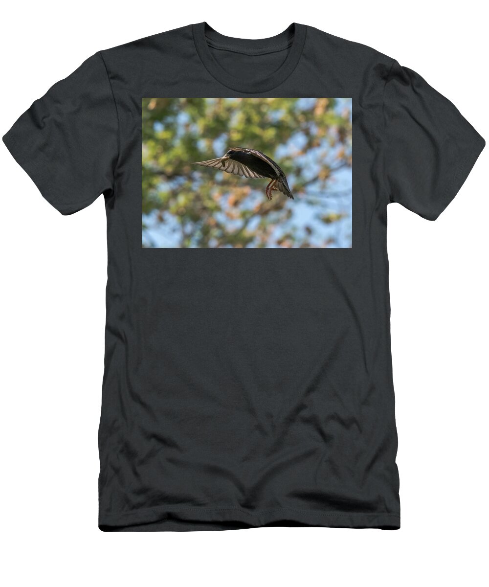 Starling T-Shirt featuring the photograph European Starling  by Holden The Moment