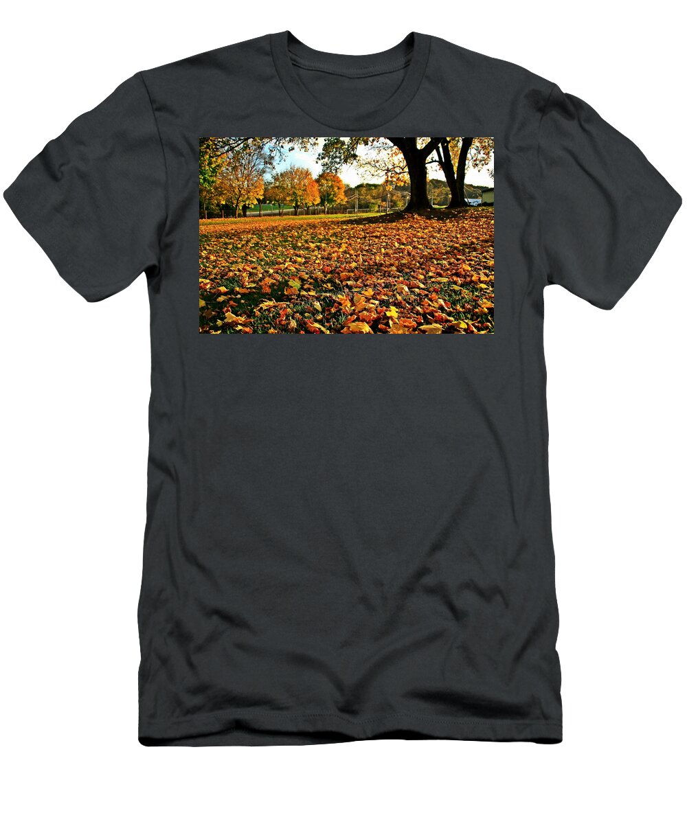Fall T-Shirt featuring the photograph Fall colors 2 #1 by Karl Rose