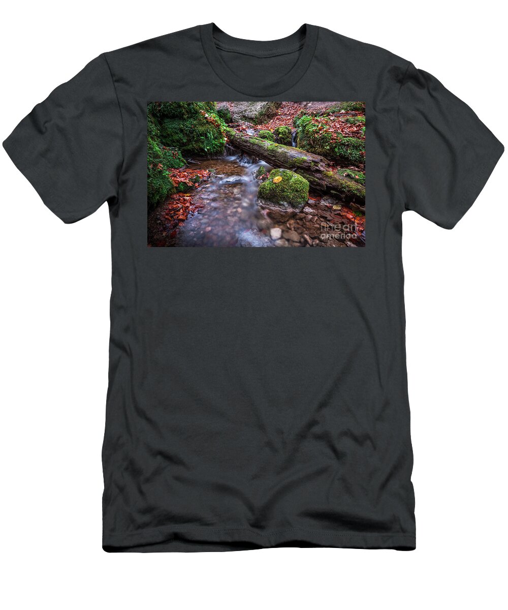 Autumn T-Shirt featuring the photograph Fall In The Woods #1 by Hannes Cmarits