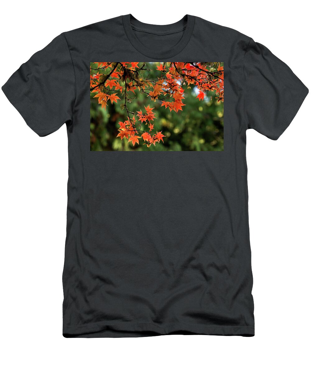 Autumn Red T-Shirt featuring the photograph Fall leaves #4 by Inge Riis McDonald