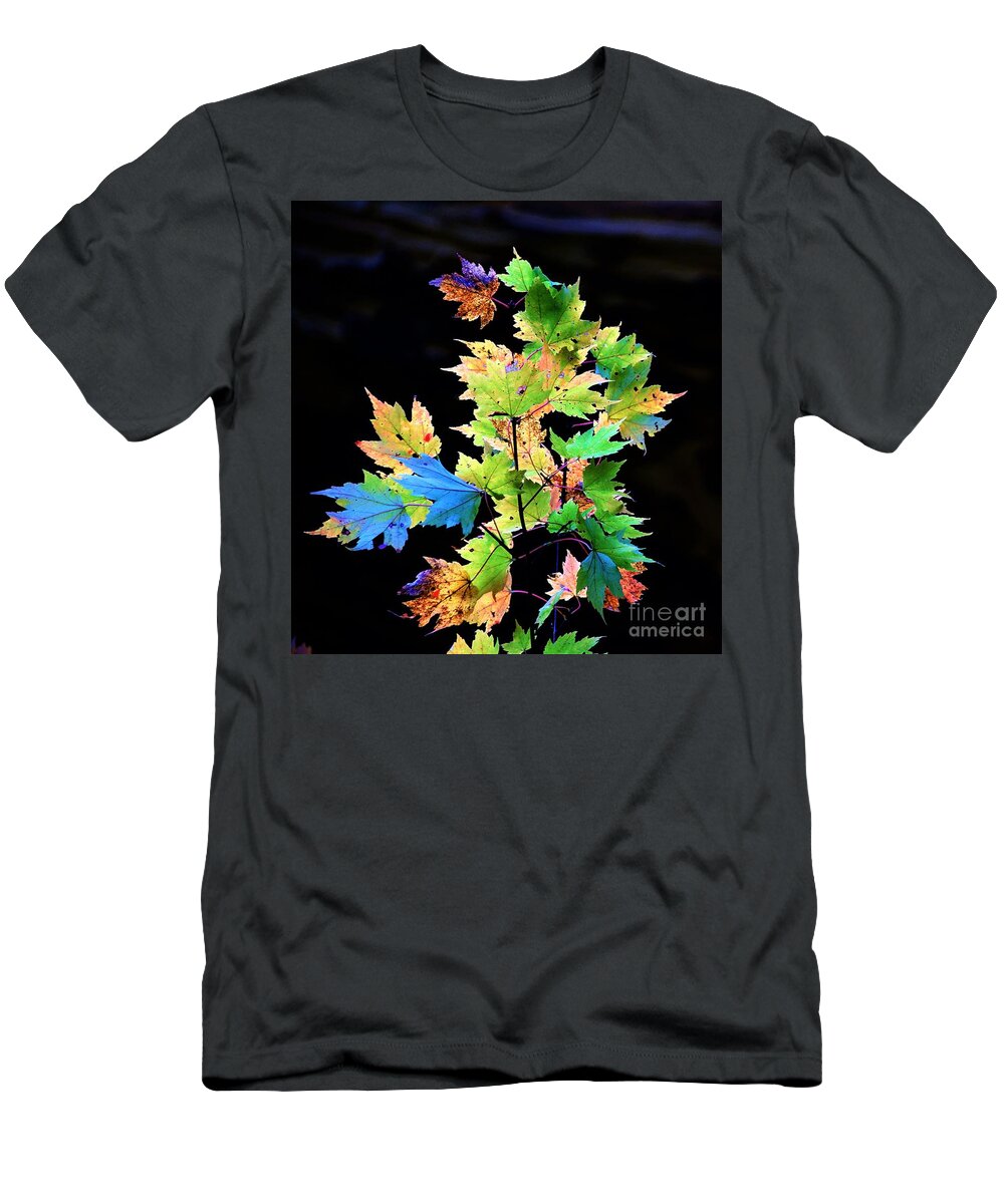 Autumn T-Shirt featuring the photograph Fall Leaves by Merle Grenz