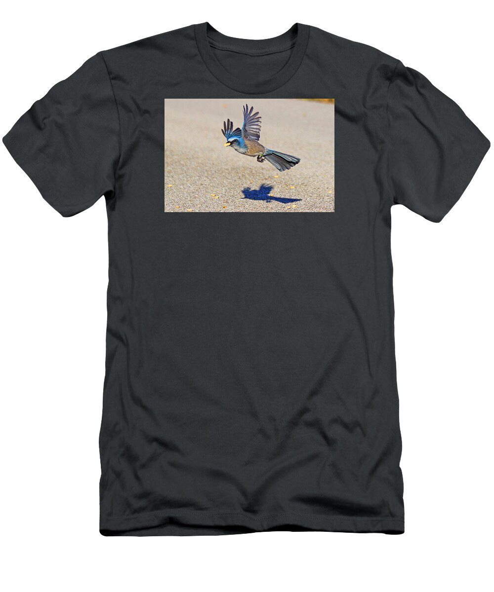Birds T-Shirt featuring the photograph Florida Scrub Jay #2 by Dart Humeston