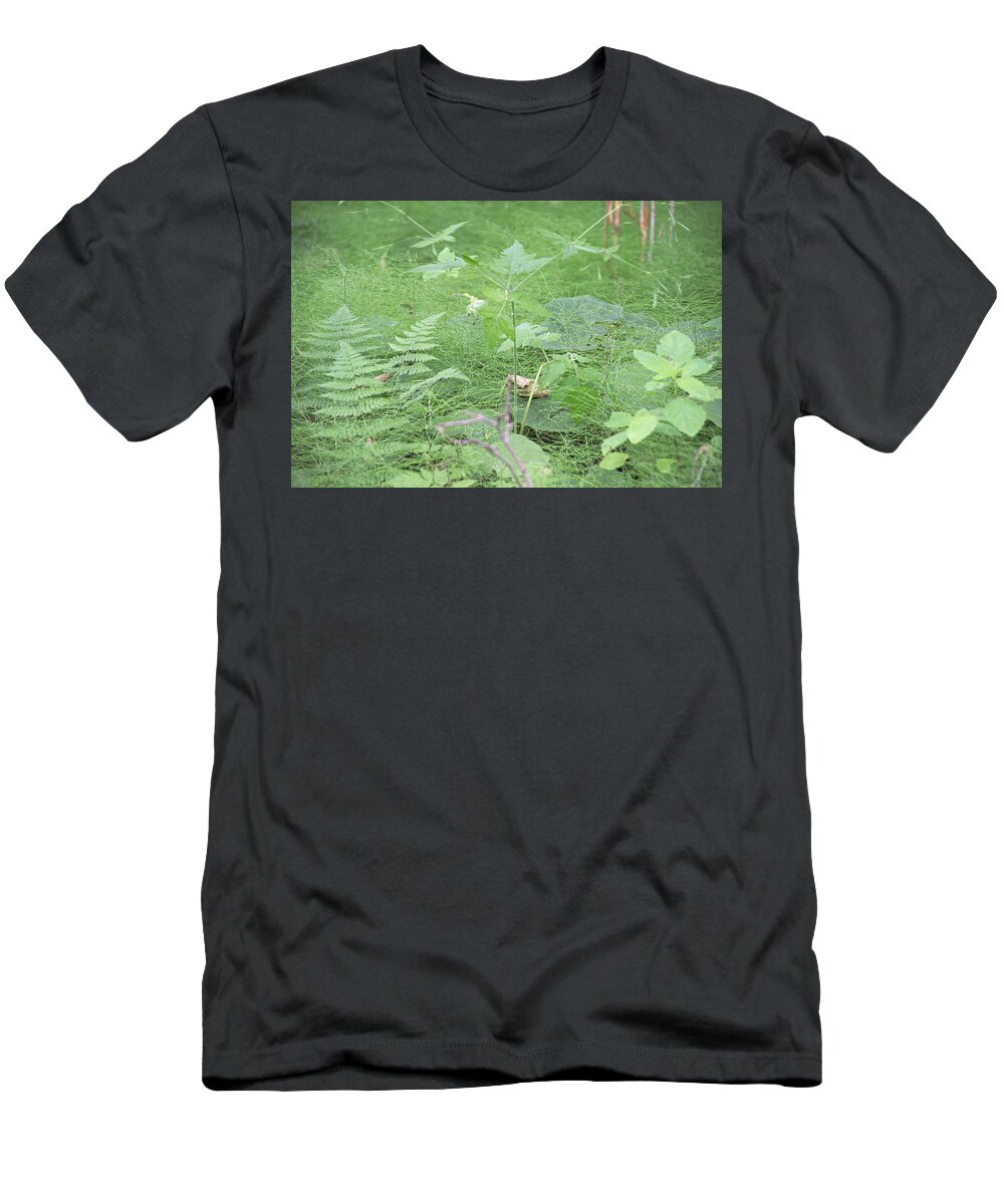 Ferns T-Shirt featuring the photograph Fluffy Ferns #1 by Timothy Ruf