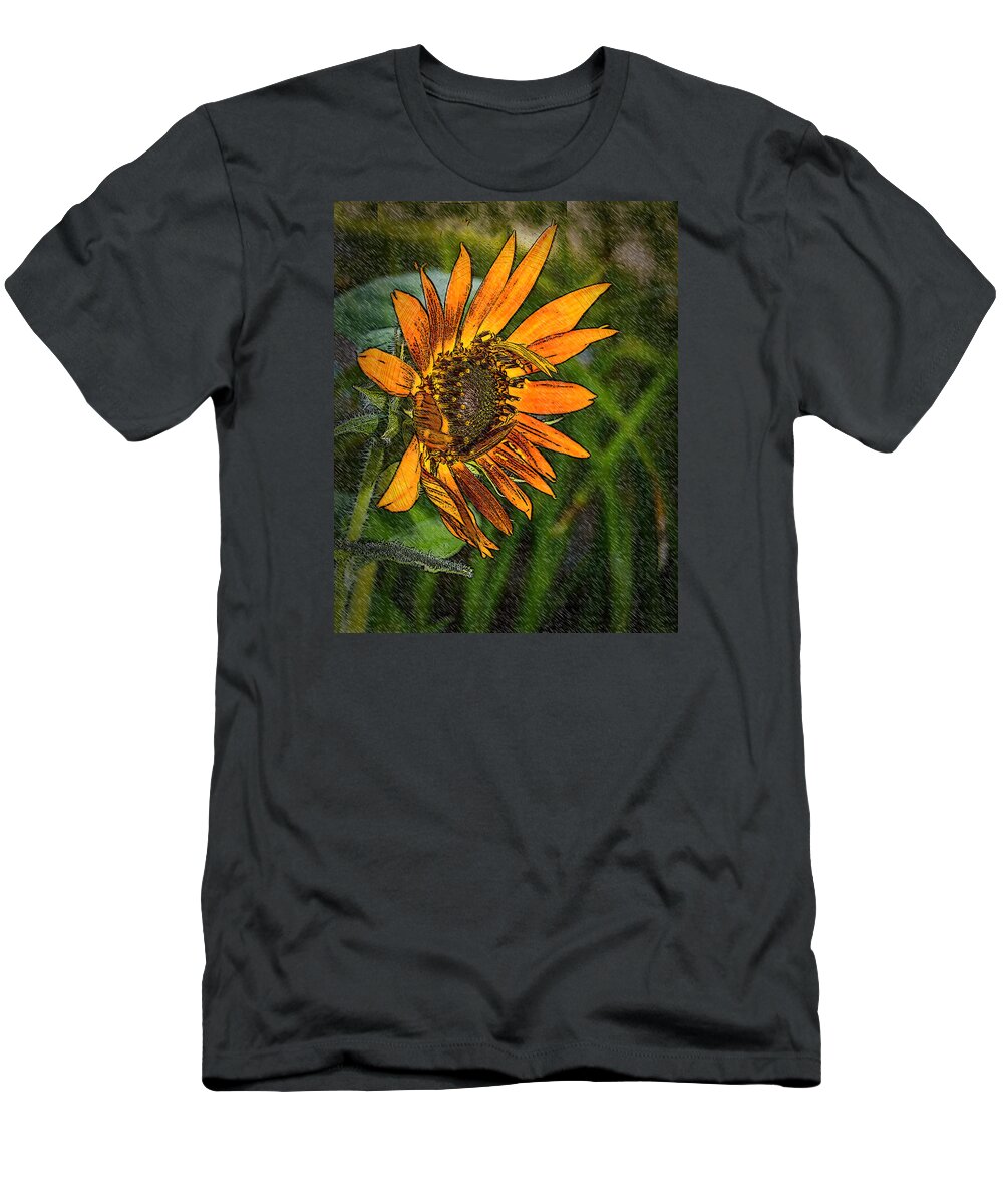Nature T-Shirt featuring the photograph Following The Sun #2 by Leticia Latocki