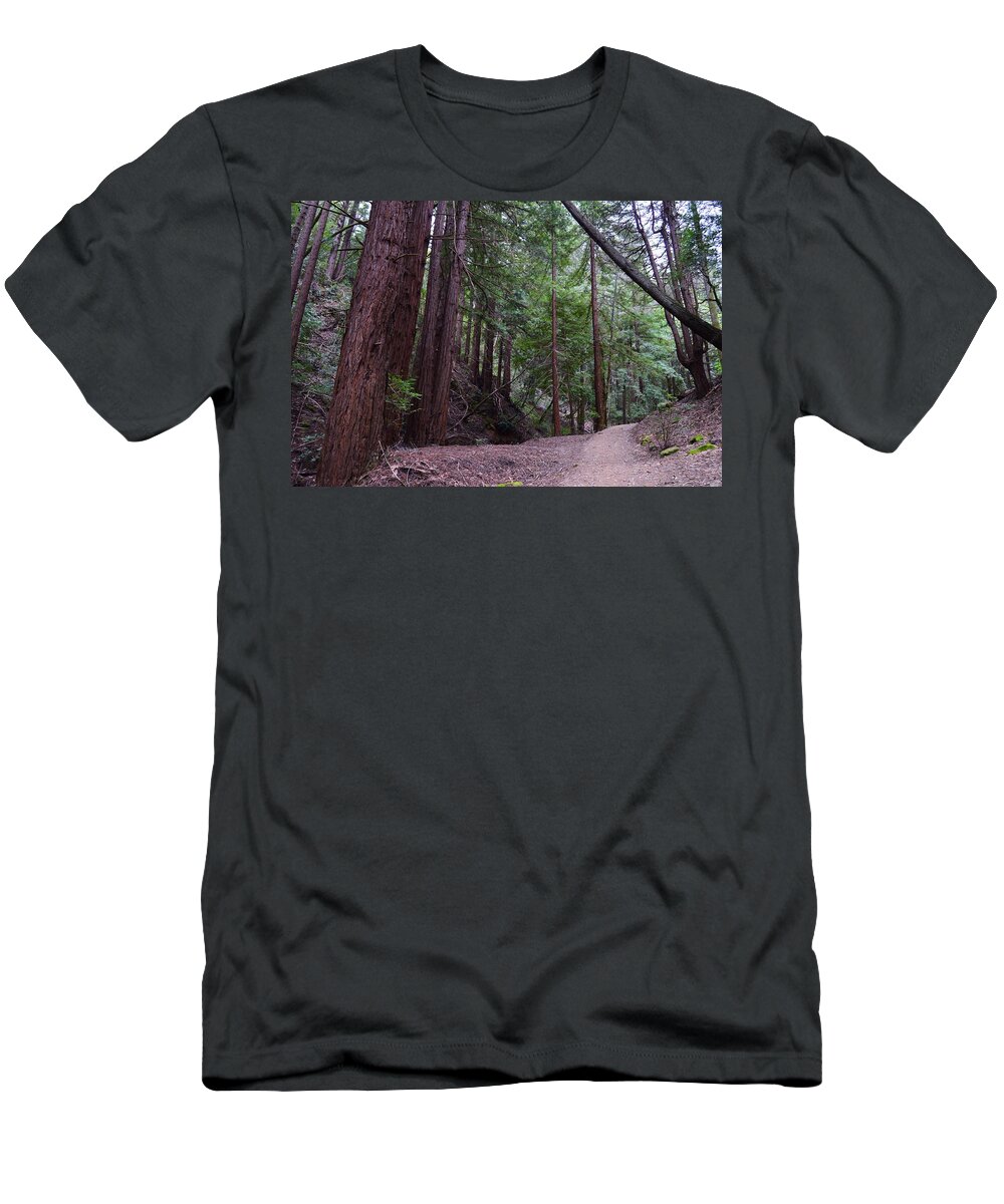 Forest Trail T-Shirt featuring the photograph Forest Trail #1 by Warren Thompson