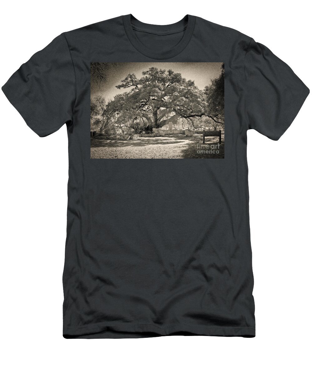 Founder's Oak T-Shirt featuring the photograph Founder's Oak #1 by Gary Richards