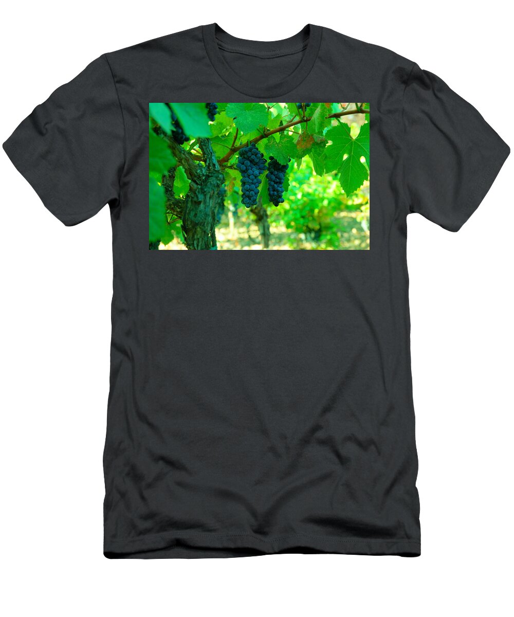 Grapes T-Shirt featuring the photograph The Beauty of Grapes on the vine by Jeff Swan