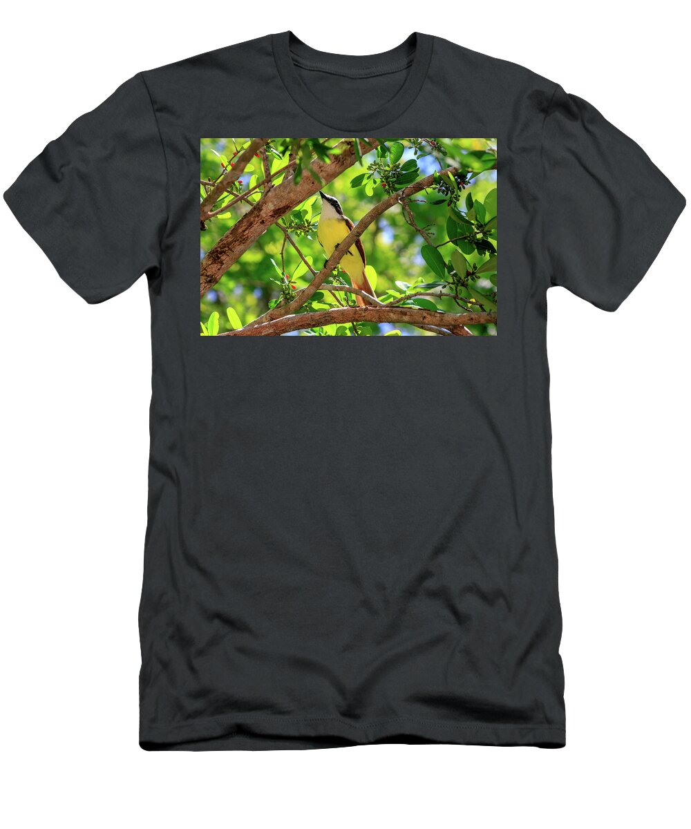Bird T-Shirt featuring the photograph Great Kiskadee #1 by Fred Boehm