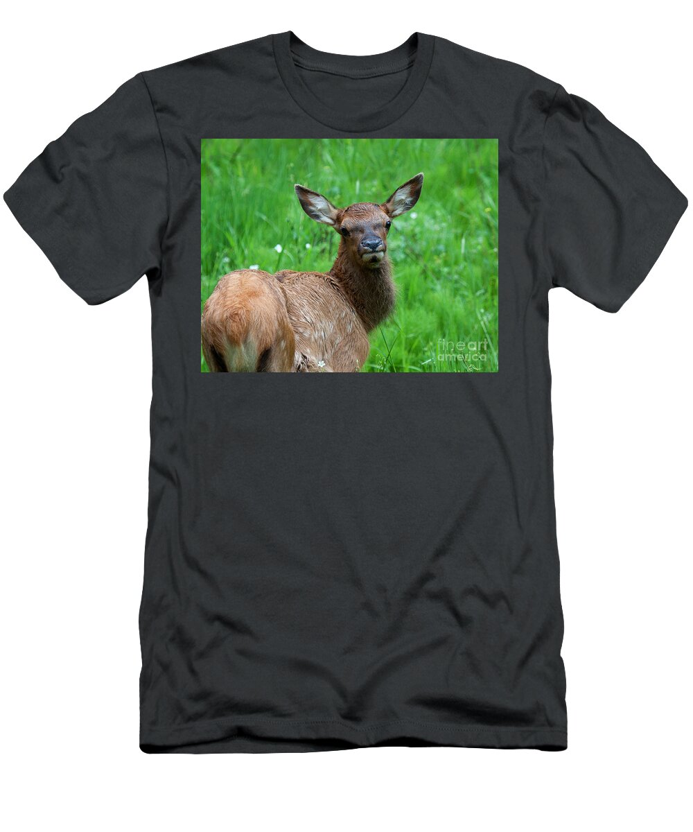 Elk T-Shirt featuring the photograph Green Pastures by Jim Garrison