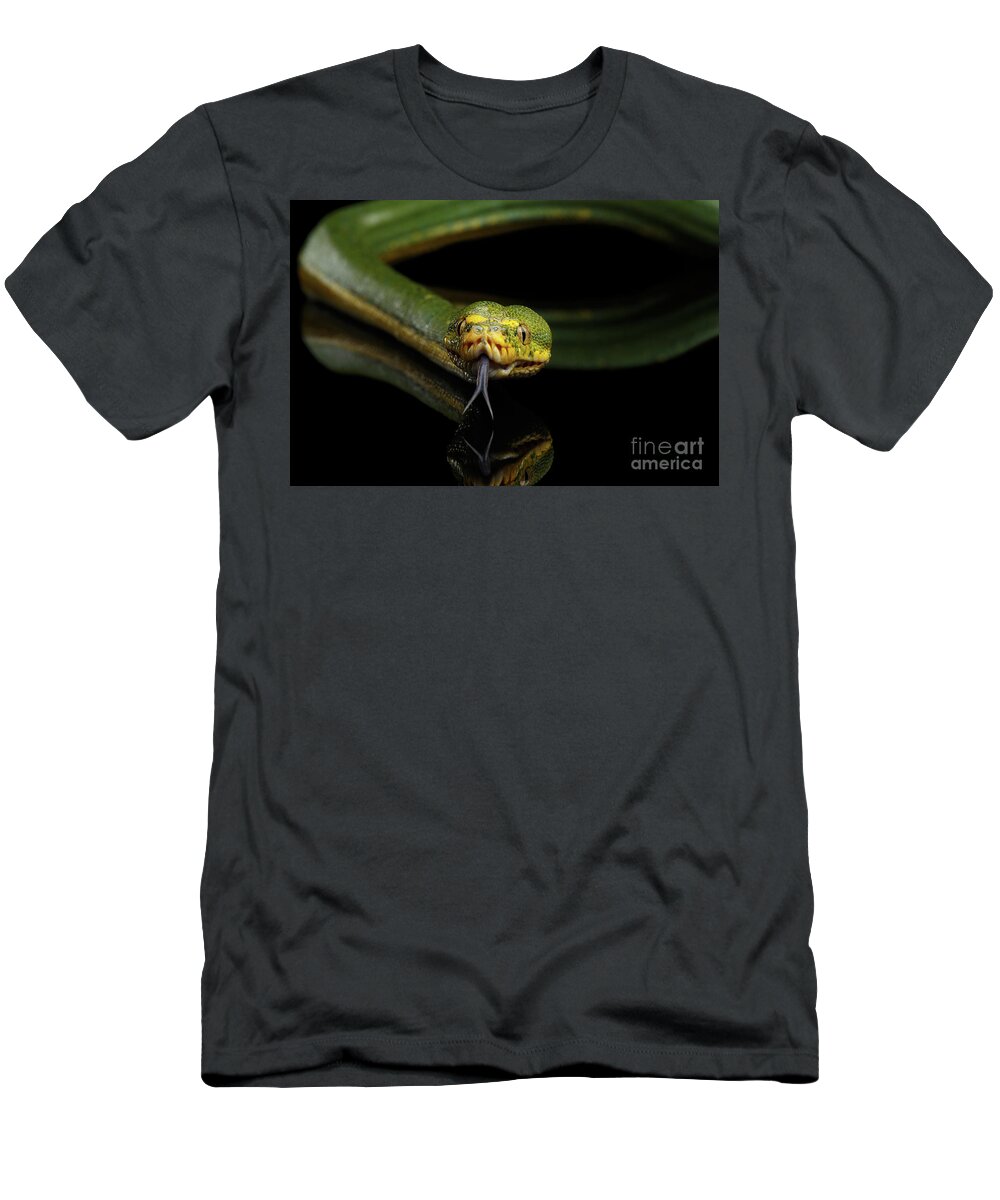 Snake T-Shirt featuring the photograph Green Tree Python. Morelia viridis. Isolated black background #3 by Sergey Taran