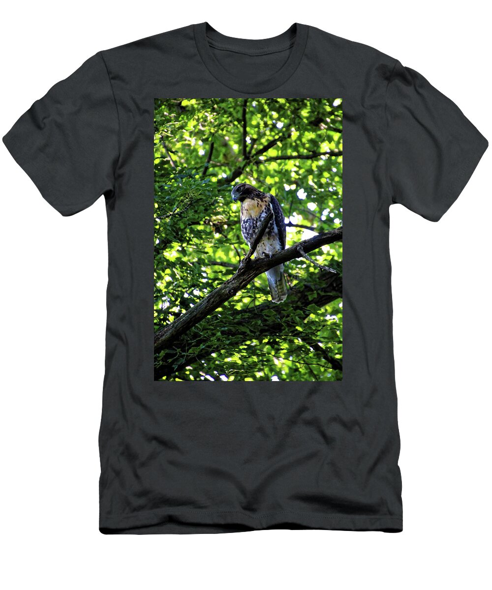 Hawk T-Shirt featuring the photograph I See You by Doolittle Photography and Art