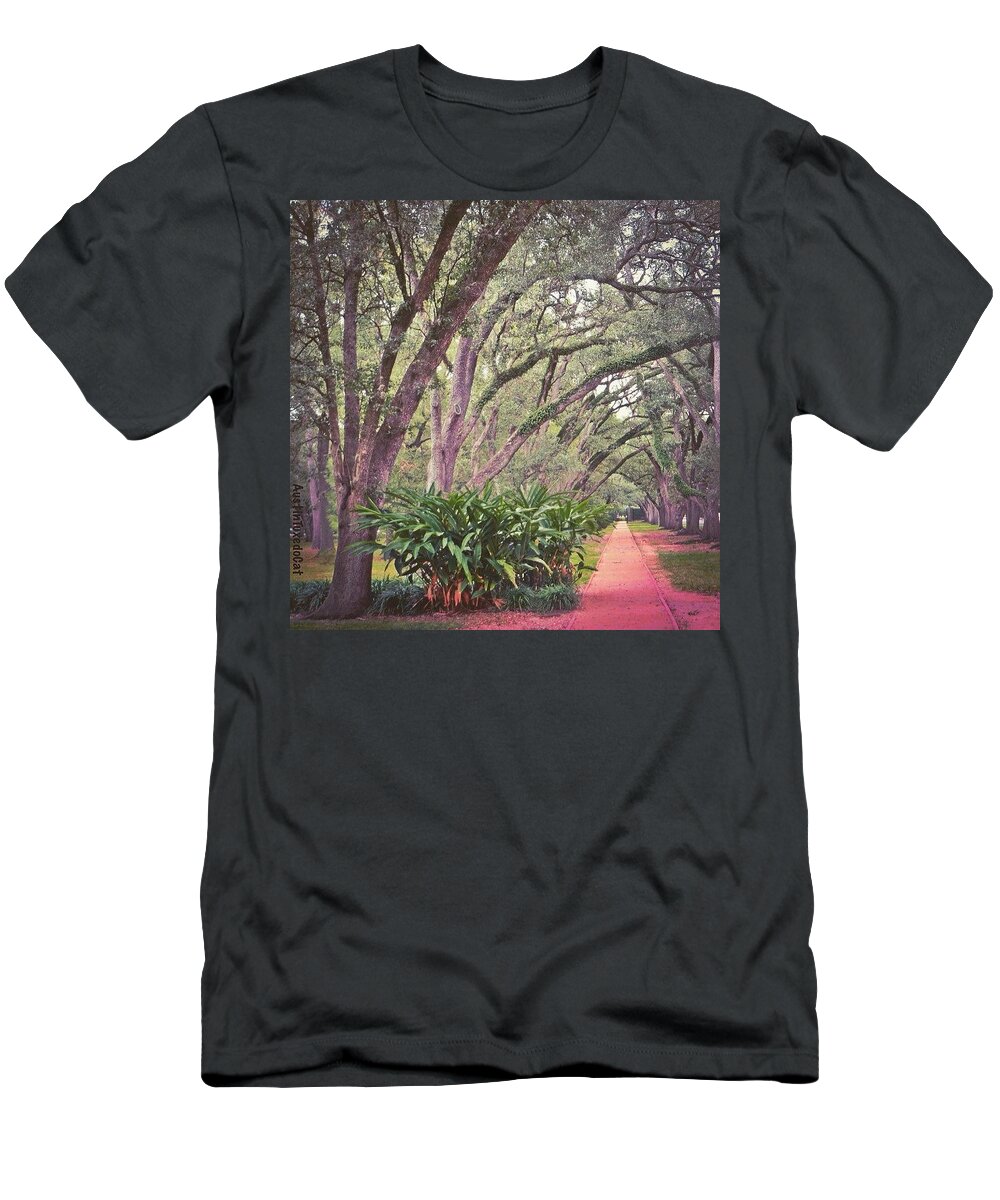 Beautiful T-Shirt featuring the photograph Love The #liveoak #trees And This #1 by Austin Tuxedo Cat
