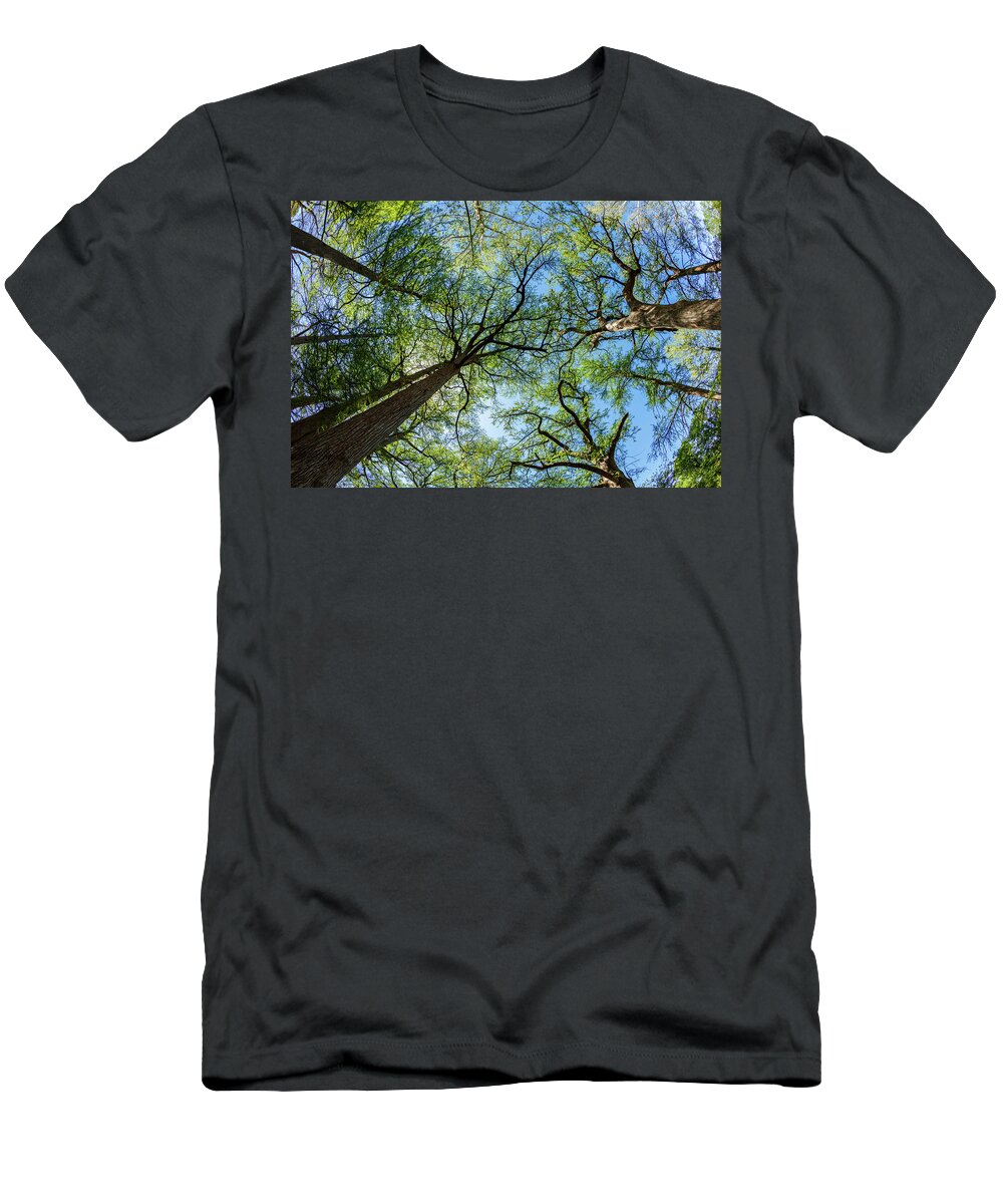 Austin T-Shirt featuring the photograph Majestic Cypress Trees by Raul Rodriguez