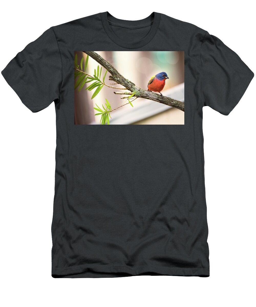 Bird T-Shirt featuring the photograph Male Painted Bunting #1 by Norman Peay