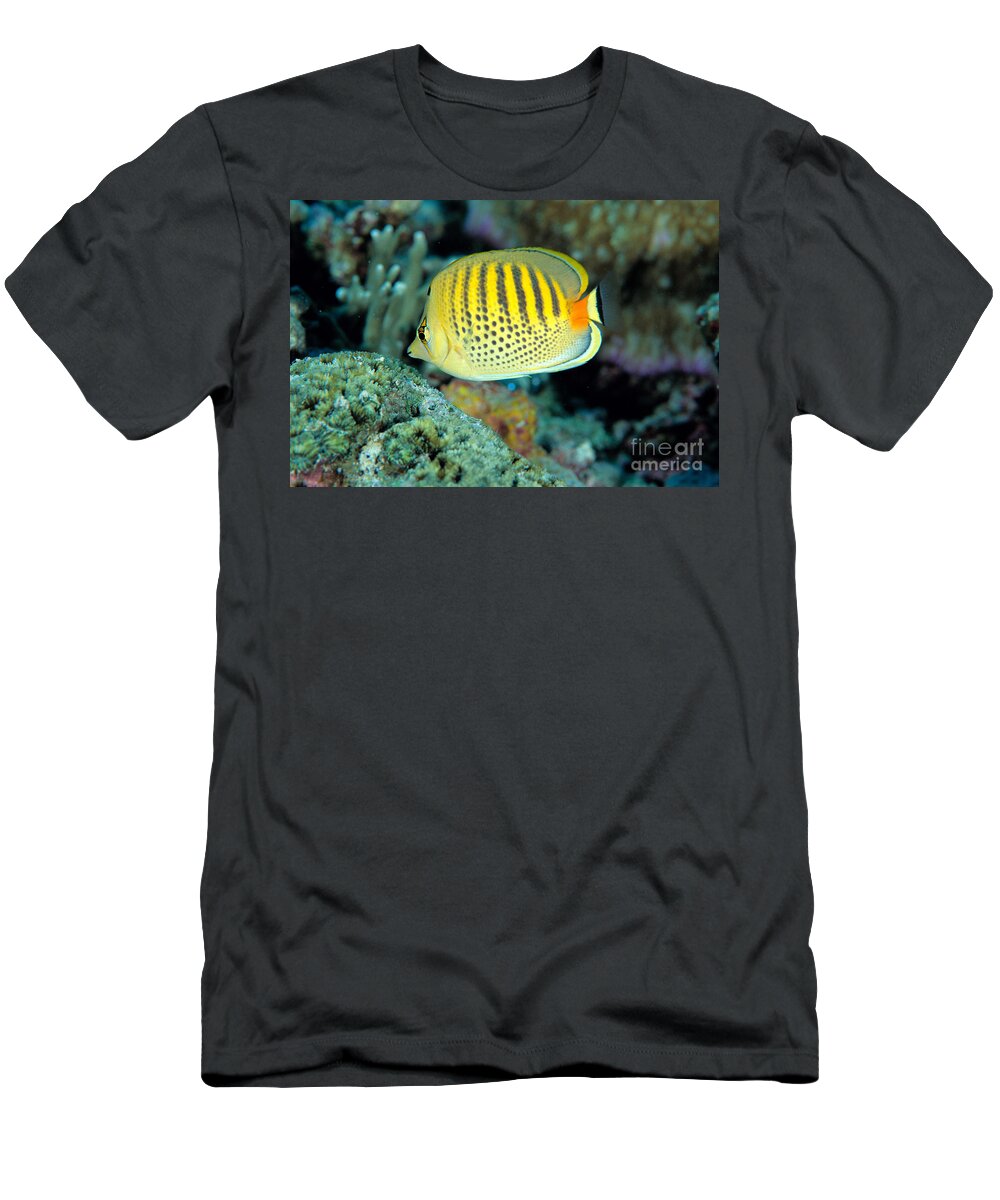 Animal Art T-Shirt featuring the photograph Micronesia, Marine Life #1 by Ed Robinson - Printscapes