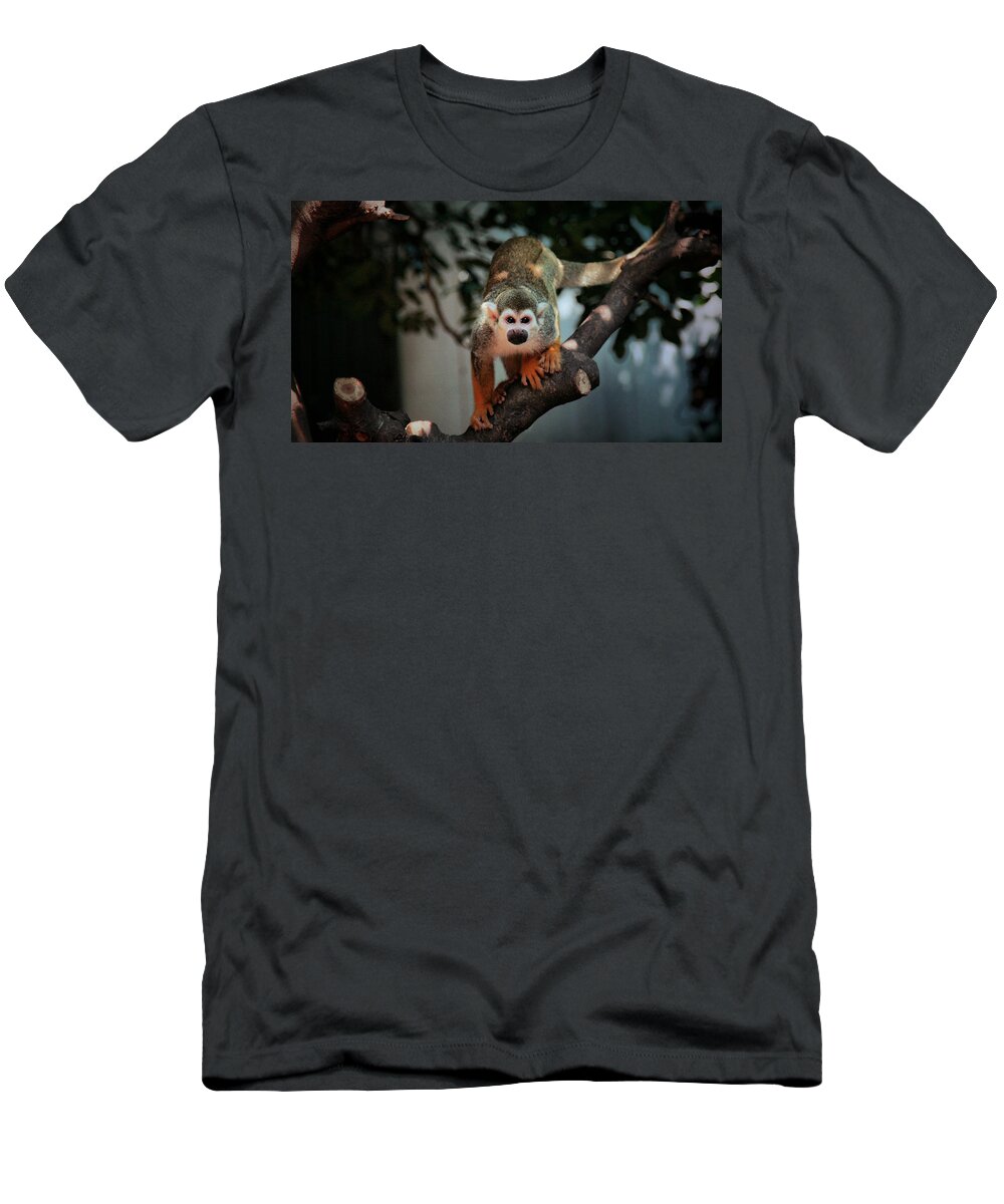 Monkey T-Shirt featuring the photograph Monkey #1 by Jackie Russo