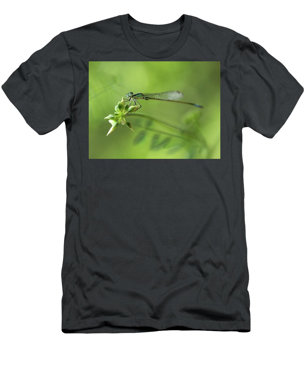 Insect T-Shirt featuring the photograph Morning impression with blue dragonfly #1 by Jaroslaw Blaminsky