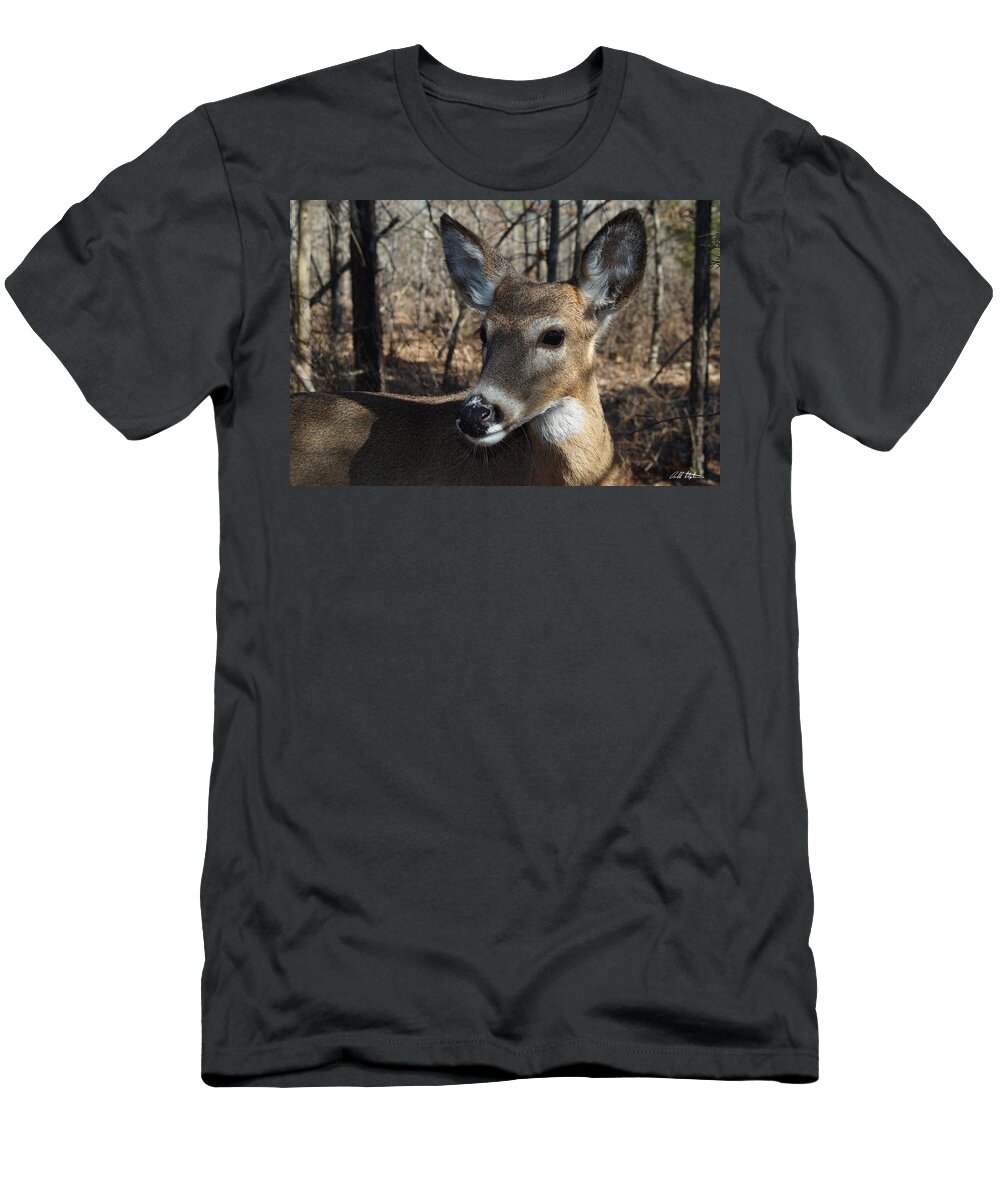 Deer T-Shirt featuring the photograph Mr. Cool #1 by Bill Stephens