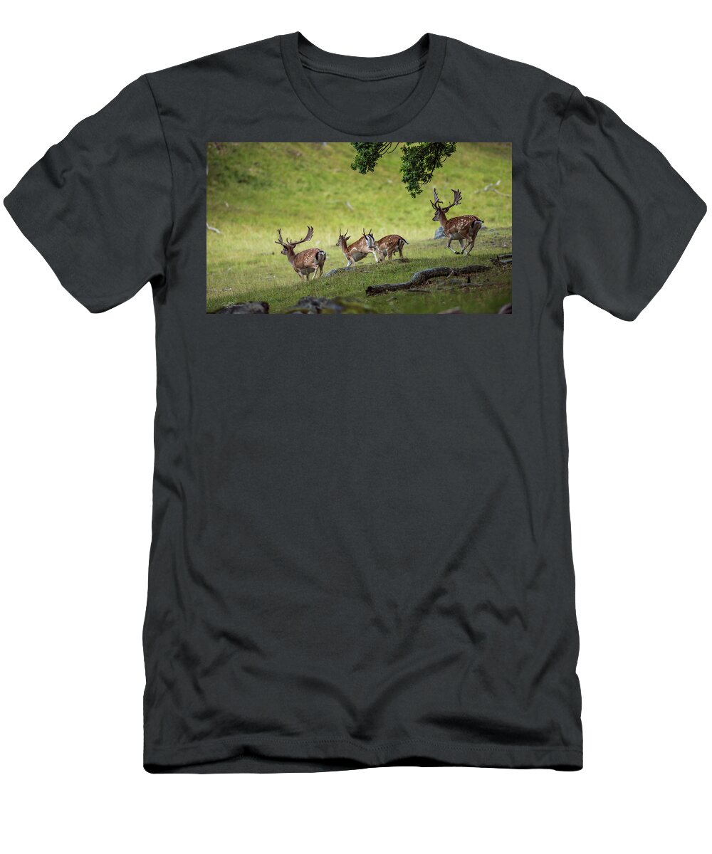Four Fallow Deer Bucks T-Shirt featuring the photograph On the run by Torbjorn Swenelius