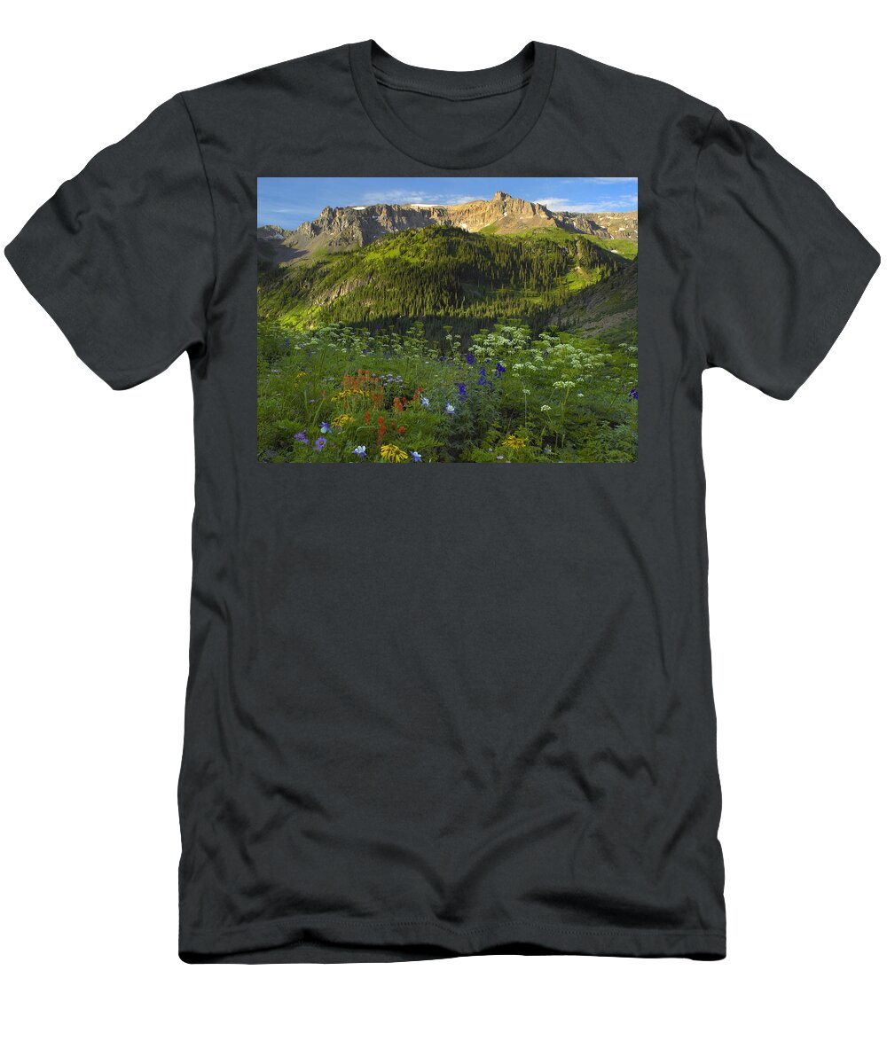 00176054 T-Shirt featuring the photograph Orange Sneezeweed And Indian Paintbrush #1 by Tim Fitzharris