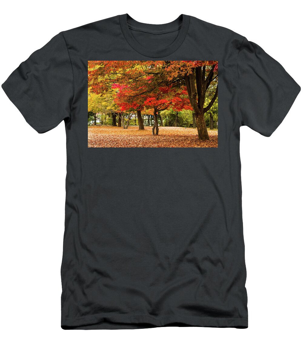 Fall T-Shirt featuring the photograph Park #1 by Hyuntae Kim