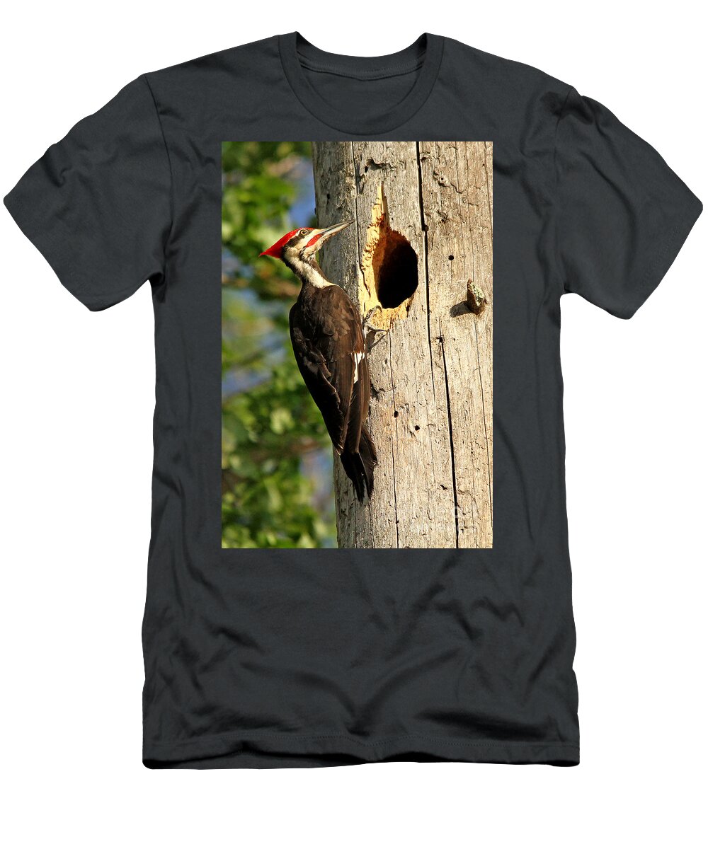 Woodpecker T-Shirt featuring the photograph Pileated #26 #1 by James F Towne