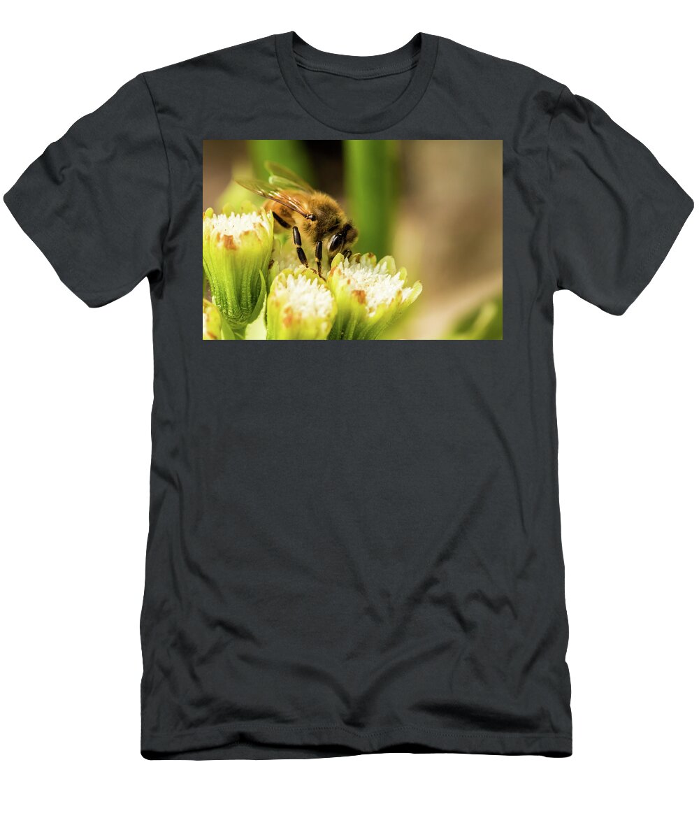 Jay Stockhaus T-Shirt featuring the photograph Pollen Collector #1 by Jay Stockhaus