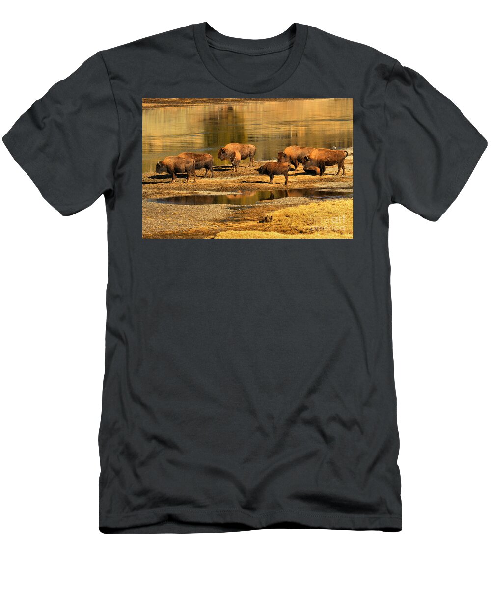 Bison T-Shirt featuring the photograph Gathering To Cross The Yellowstone River by Adam Jewell